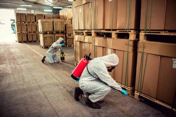 Best Pest Control Near Me  in Kimberly, ID