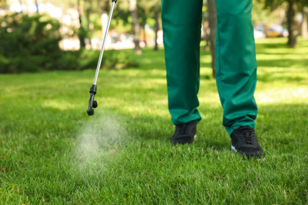 Best Flea Control Services  in Kimberly, ID