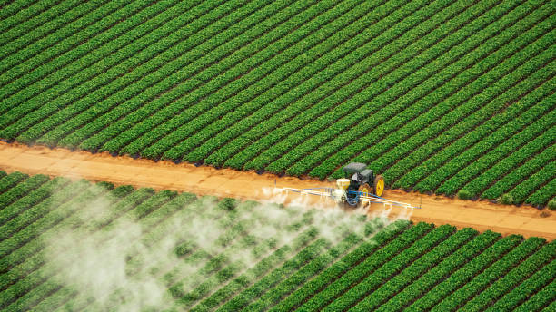 Best Pest Removal Services  in Kimberly, ID
