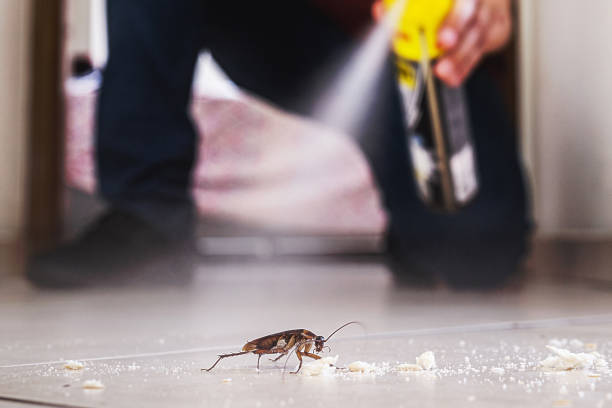 Best Cockroach Control Services  in Kimberly, ID